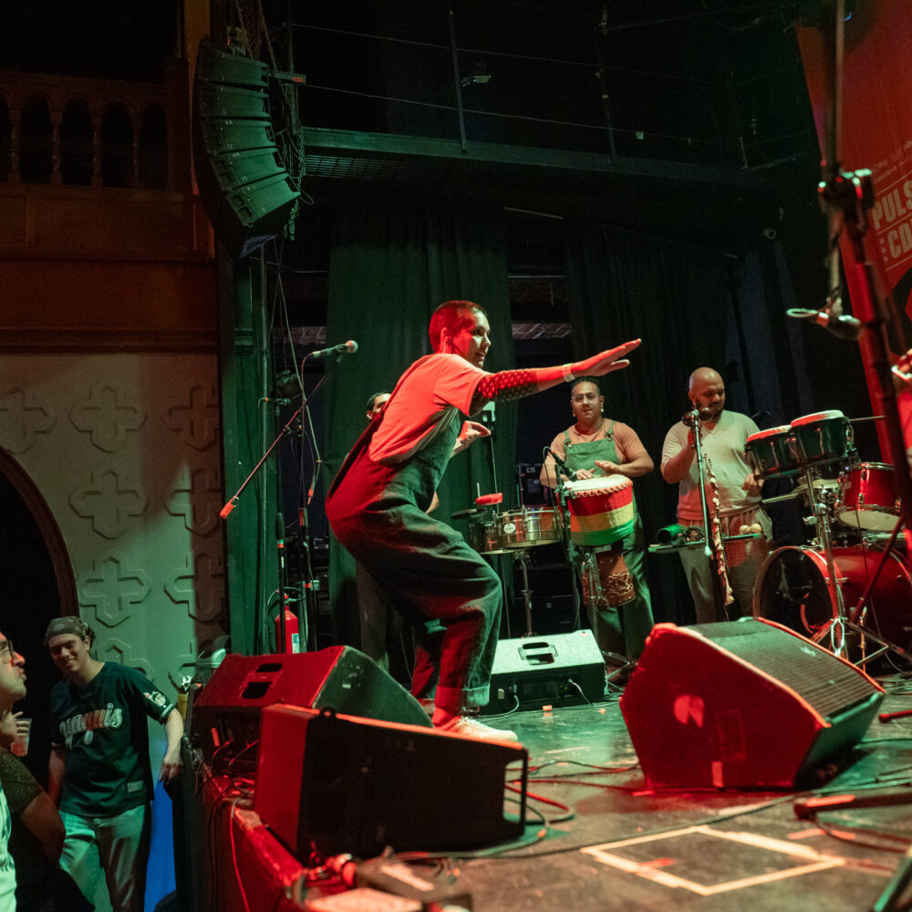PULSAR-INDIE-ROCK-49S03153
